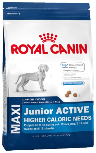 Корм для собак Royal Canin Maxi Junior Active (Сухой корм Роял Канин для щенков крупных пород с высокими энергетическими потребностями с 2 до 15/18 месяцев)